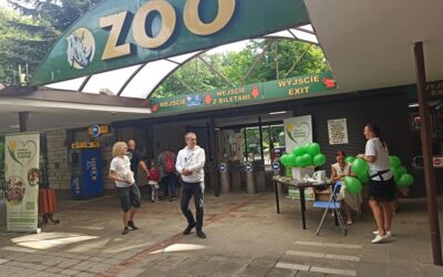 Pracowity koniec wakacjii